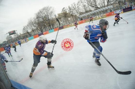 День зимних видов спорта 