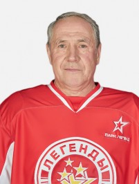Голиков Владимир Николаевич